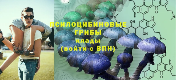 трава Аркадак
