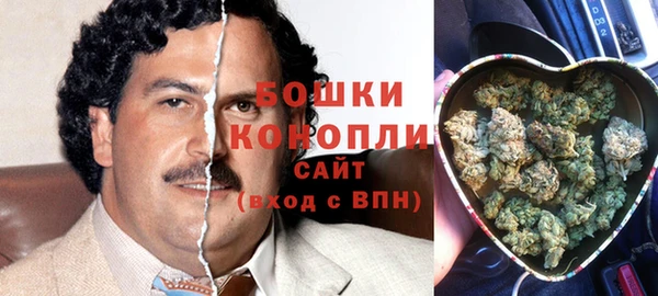 трава Аркадак