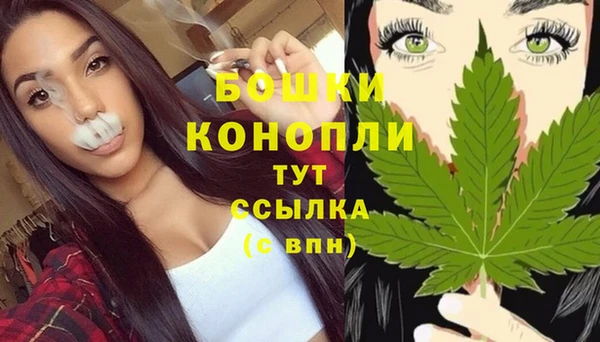 бошки Арсеньев