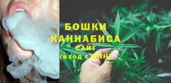 трава Аркадак
